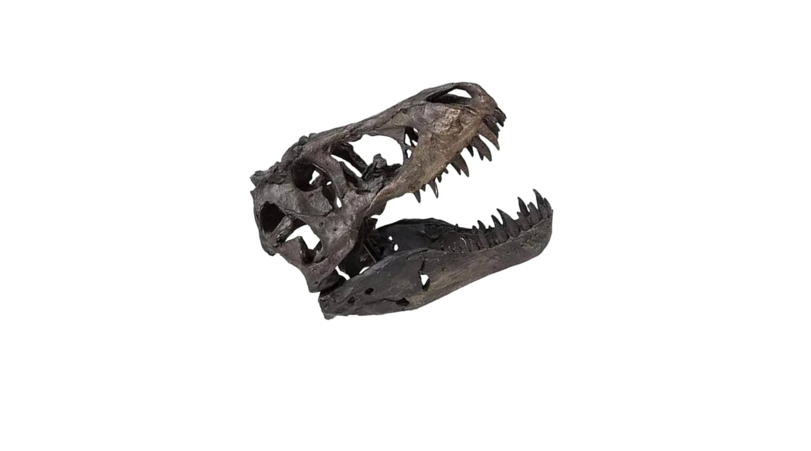 Maison Caplane trex2